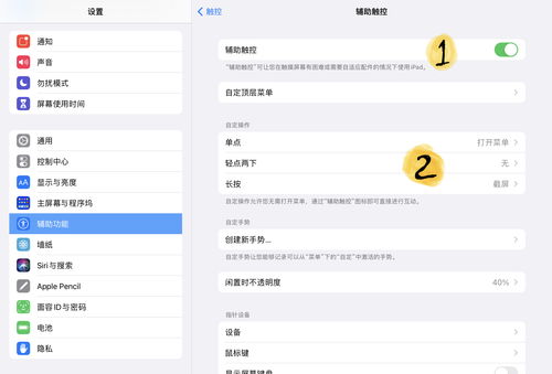 ipad直播小技巧,ipad直播小窗口怎么设置