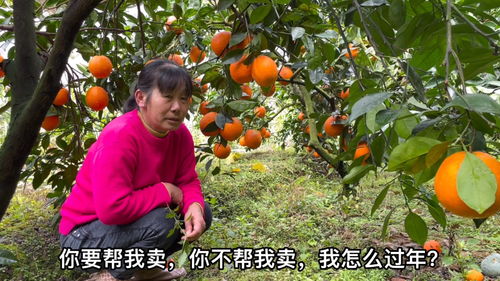 直播卖水果的好方法和技巧,直播卖水果的好方法和技巧是什么