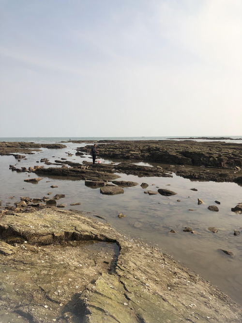 阳江赶海直播技巧,阳江赶海圣地