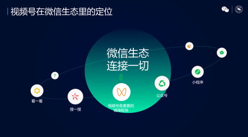 直播挂录像技巧,直播挂录像技巧有哪些