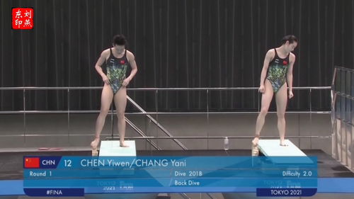 跳水直播技巧,现场直播跳水
