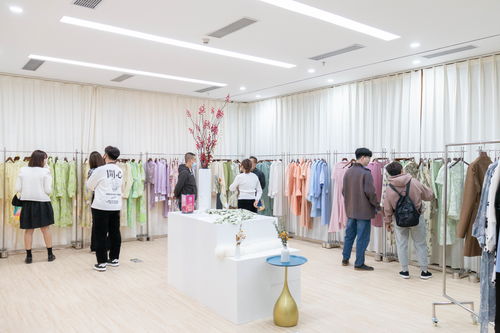 株洲服装直播技巧,服装直播技巧与方法