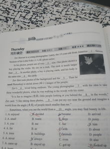 大象直播技巧英语作文,观看大象英语