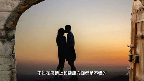 拍摄构图技巧直播,拍摄 构图
