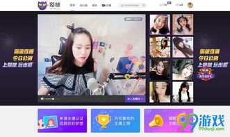 猫咪直播补光技巧,直播猫咪可以赚钱吗