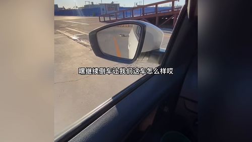 倒车入库技巧直播间,现场倒车入库视频