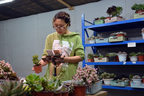 鲜花直播间卖货技巧,直播卖花怎么开始话术