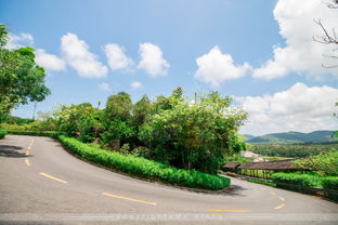 景点户外直播技巧,户外直播场景