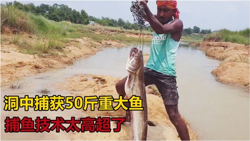 河边捕鱼技巧直播,阿联酋布扎比
