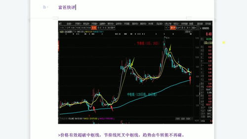 近期股票技巧视频直播,股票视频直播网站