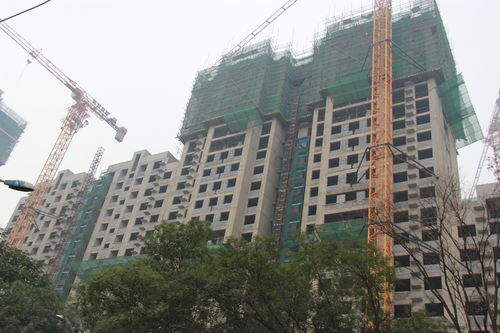房产直播户外技巧,房产直播说什么