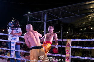 武林风直播技巧,武林风直播在哪看