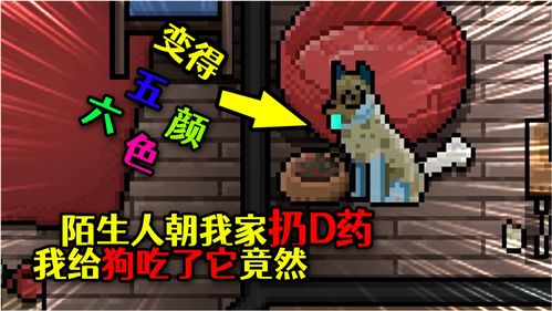 直播间送东西技巧,直播间送礼怎么送