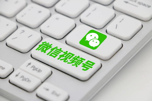 直播写作技巧视频,直播写作技巧视频教学