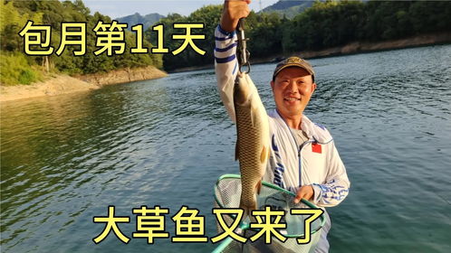酒米直播钓鱼技巧,悠然小钓的酒米做法视频