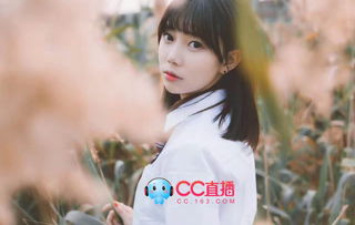 cc直播的技巧,cc直播怎么开直播教程