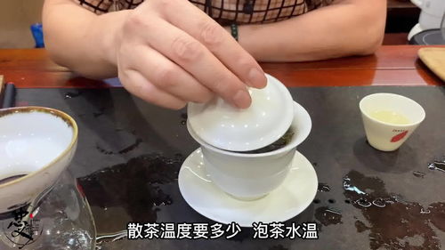福鼎白茶直播技巧,福鼎白茶开茶节直播
