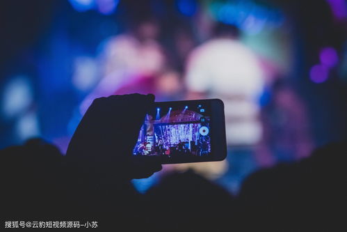 服务器直播技巧,服务器直播技巧有哪些