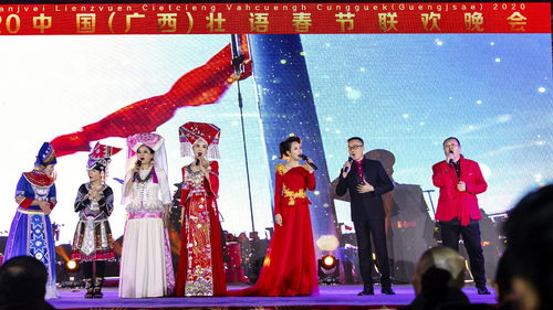 春晚2013直播技巧,2013直通春晚