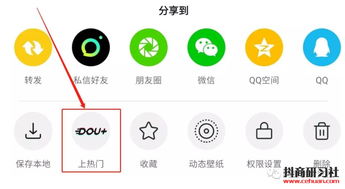 抖音直播投放dou技巧,dou+直播投放技巧