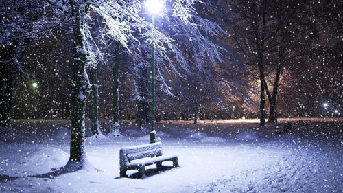 直播下雪技巧,直播下雪是真的吗