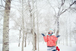 下雪直播技巧,直播间下雪模式