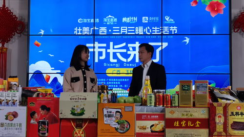 县长直播卖货技巧,县长直播卖货技巧与方法
