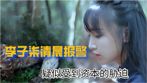 李子柒直播技巧,李子柒直播技巧视频