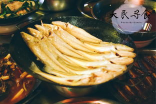 餐饮美食直播技巧,餐饮美食直播技巧和方法