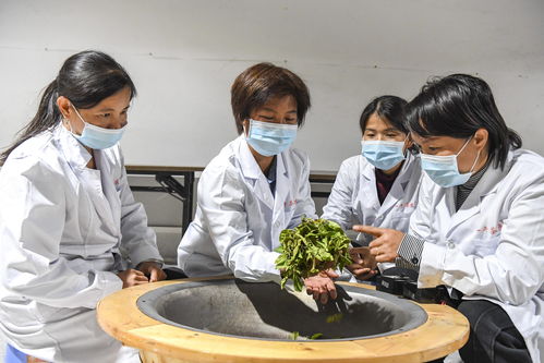 直播茶叶技巧,做茶叶直播怎么讲茶道