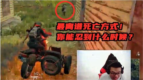 大司马直播吃鸡技巧,大司马直播名场面
