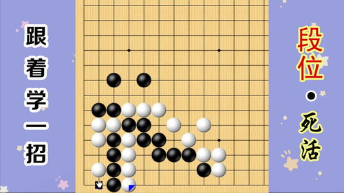 围棋直播的方法与技巧,围棋对局直播
