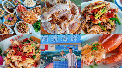静雅直播干货技巧,静雅最新讲座