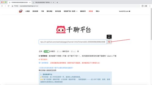 直播课聊天技巧,直播课聊天技巧和方法