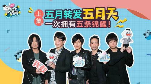 同道大叔直播技巧,同道大叔怎么火的