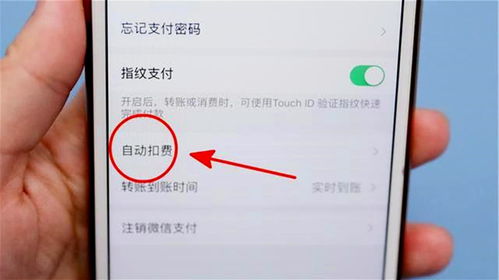迁安百度关键词优化不扣费,百度关键词优化是什么意思