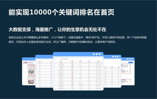 禹州百度关键词优化哪家好,禹州贴吧热搜