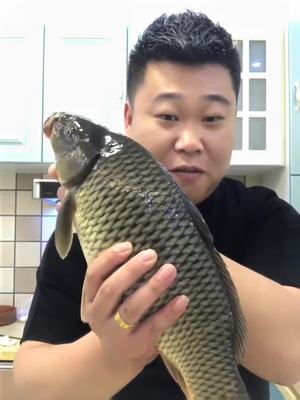 鲤鱼直播技巧视频素材,游戏视频鲤鱼直播