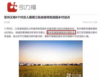 实用直播技巧,直播实战技巧