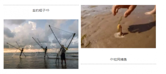 黄岛赶海直播运营技巧,赶海直播的