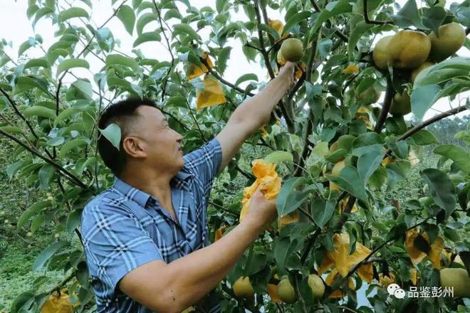 直播提前预约技巧,直播怎样提前预约时间