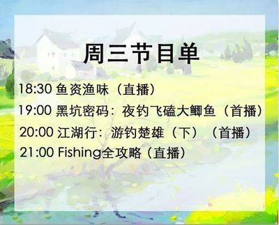 钓鲫鱼直播技巧,眼镜哥说鱼钓鲫鱼怎么开饵