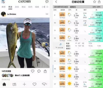 美女直播钓鱼技巧,美女直播钓鱼技巧视频