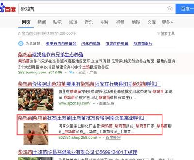 厦门百度推广关键词优化,厦门百度搜索网站优化