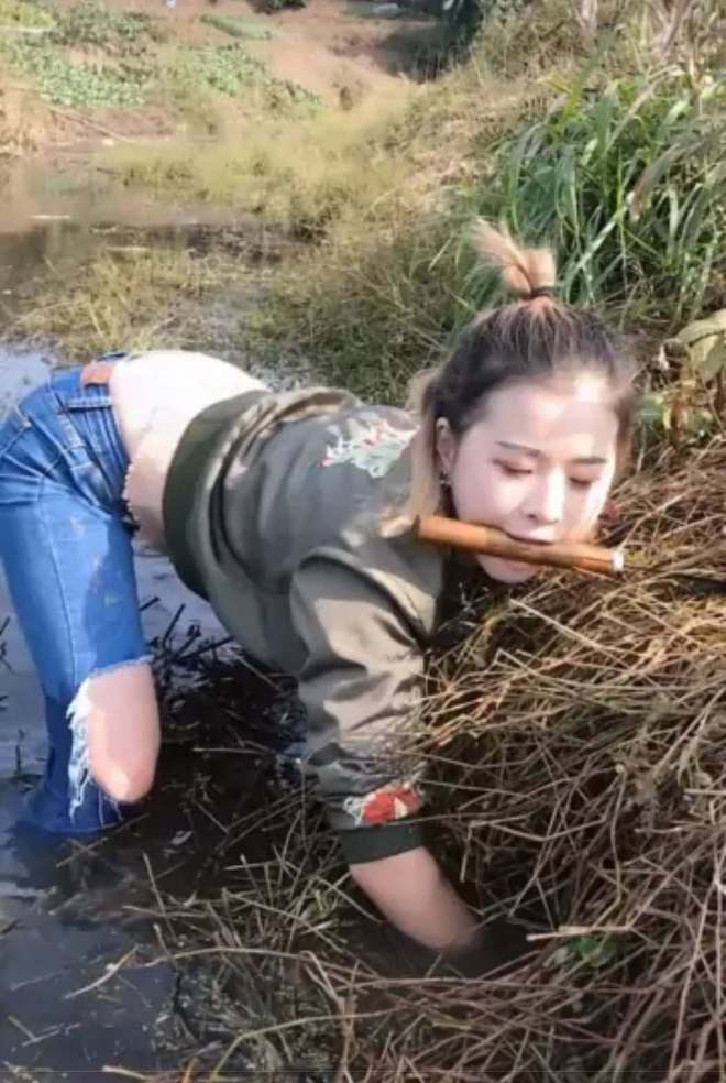 黄鳝直播技巧舞蹈,山东省食品小作坊证