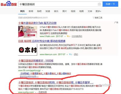 百度首页关键词优化的缺点,百度关键词优化软件怎么样