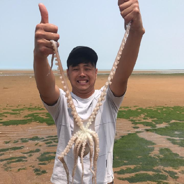 大庆赶海直播技巧,赶海视频大庆赶海