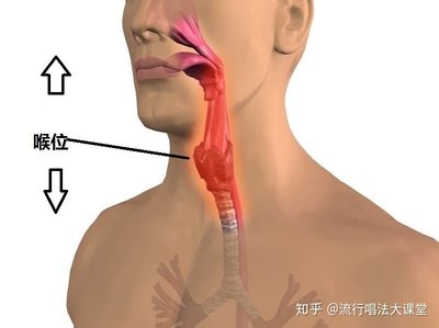 嗓子发音技巧直播,嗓子怎么发音好听