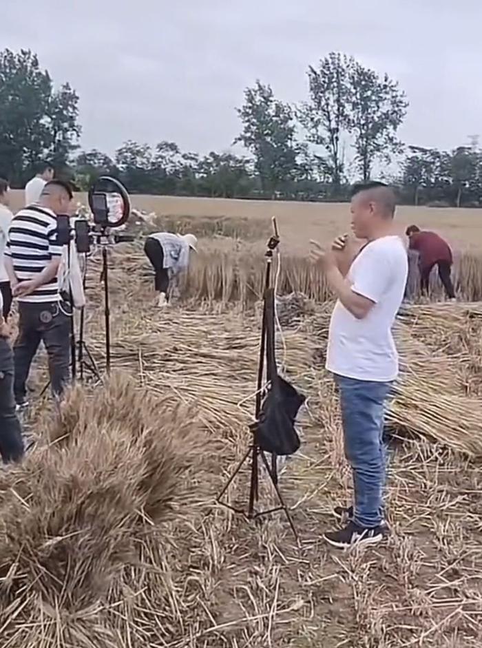 收割机直播技巧,收割机视频播放