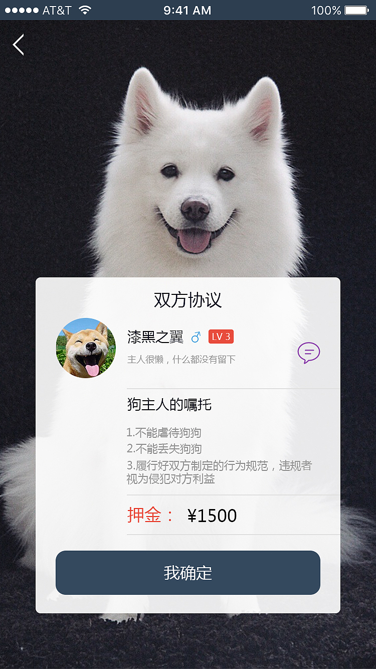 直播宠物选购技巧,直播宠物需要什么条件